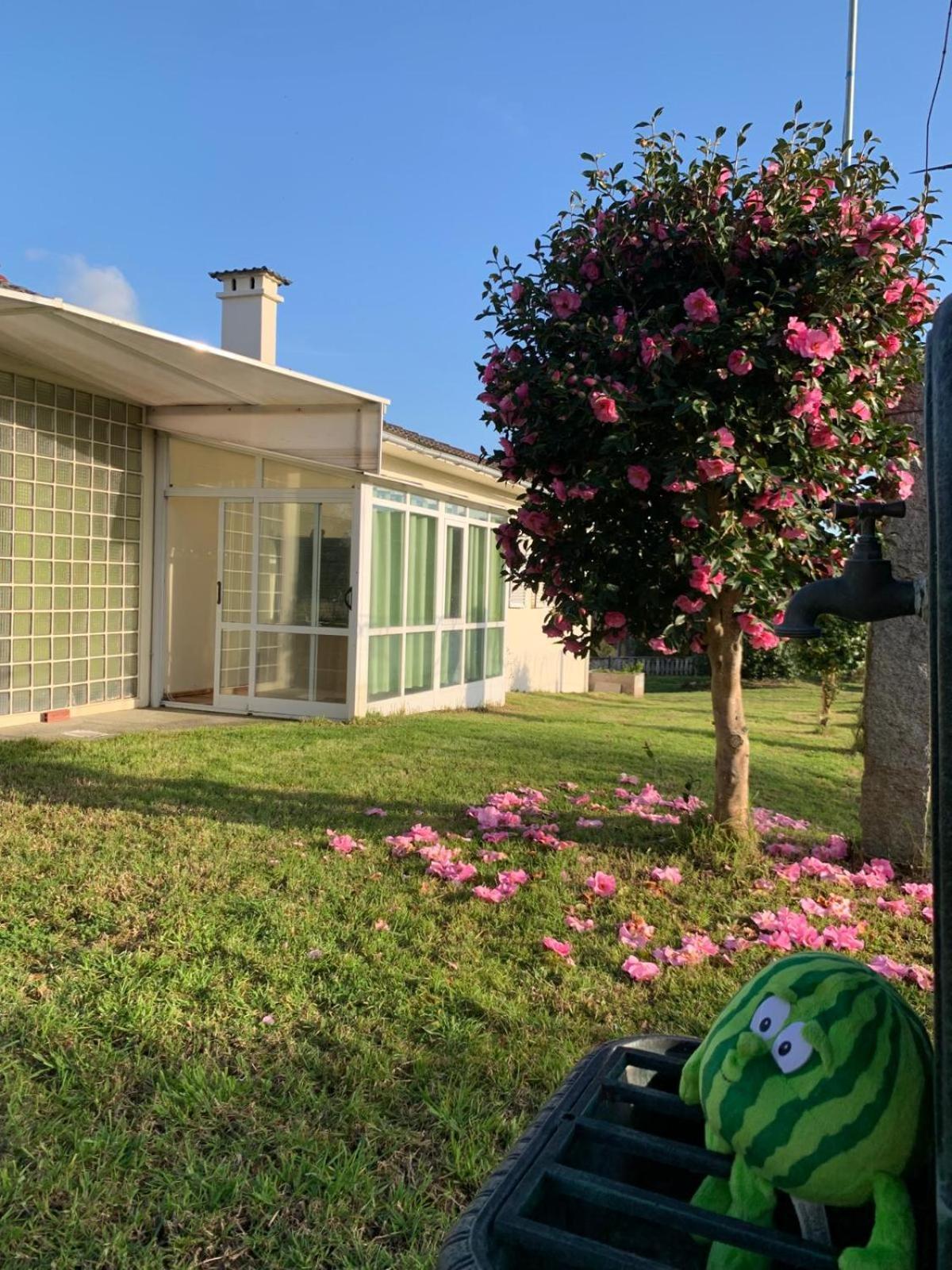La Maison D'Abelleira بوينتيارياس المظهر الخارجي الصورة