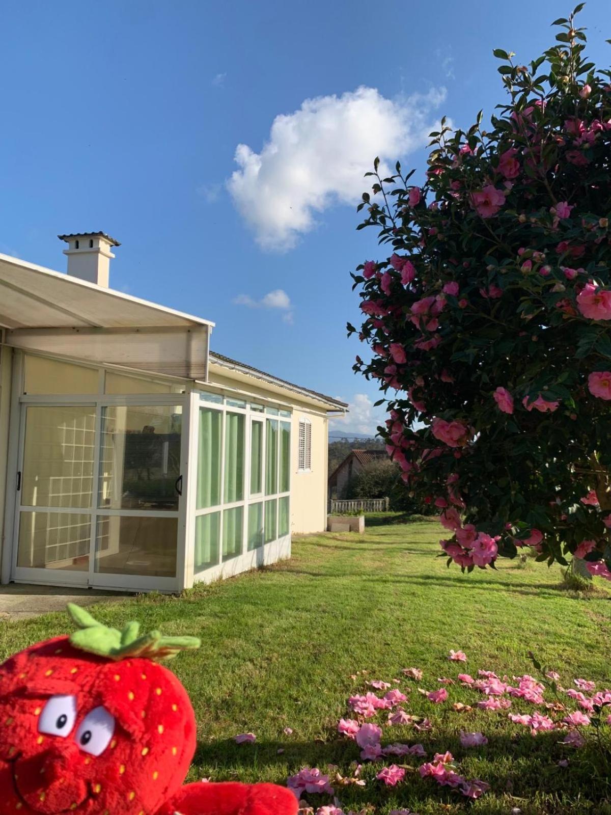 La Maison D'Abelleira بوينتيارياس المظهر الخارجي الصورة