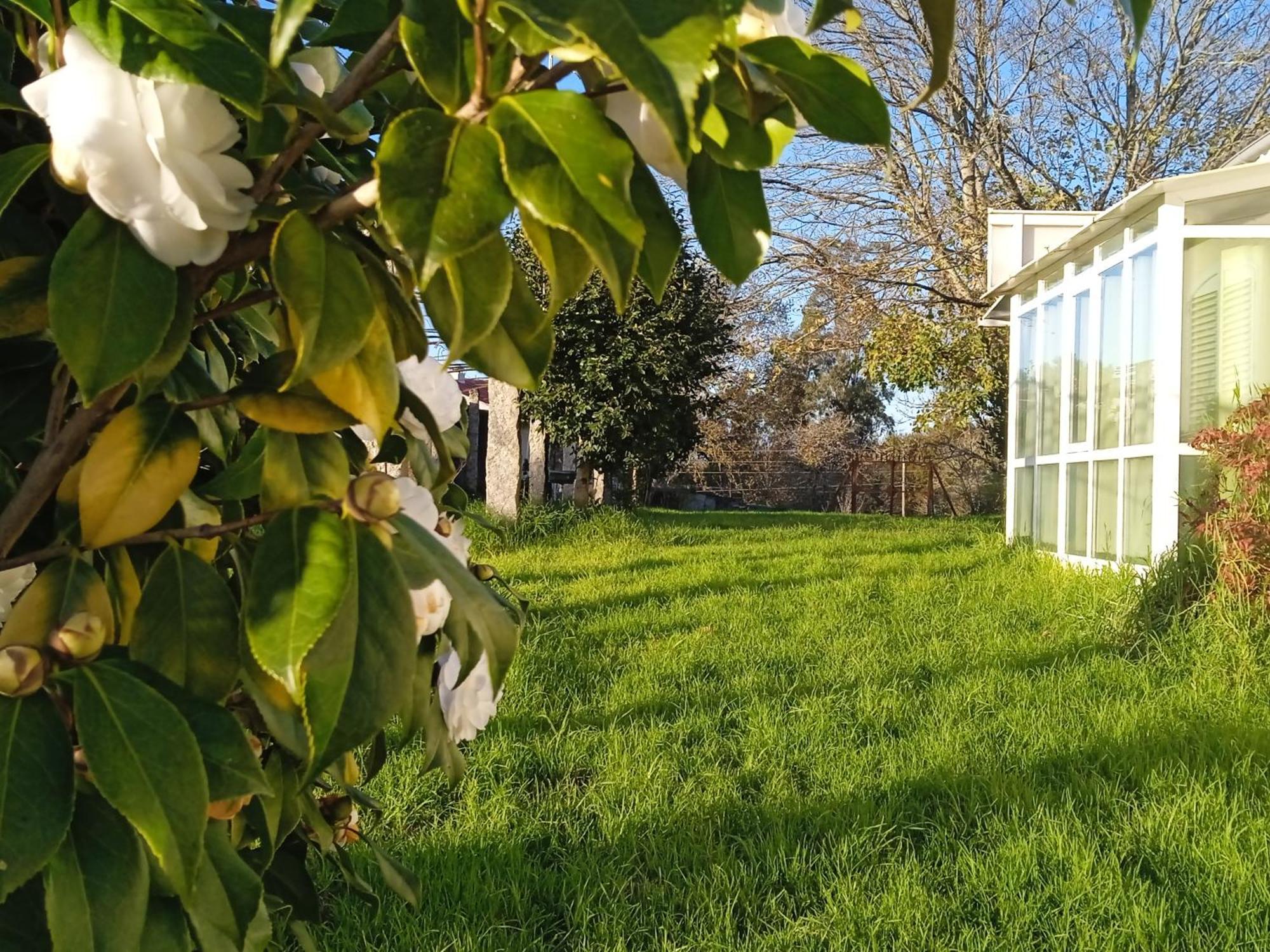 La Maison D'Abelleira بوينتيارياس المظهر الخارجي الصورة